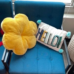 Two Throw Pillows